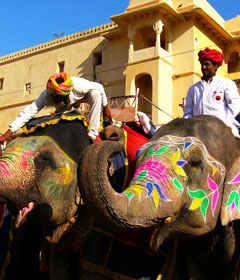 Elephant Ride, Amber Fort, Jaipur