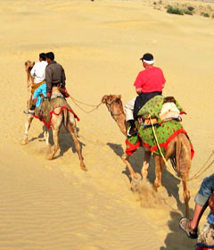 Camel Safari, Jaisalmer