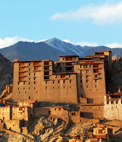 Leh Palace