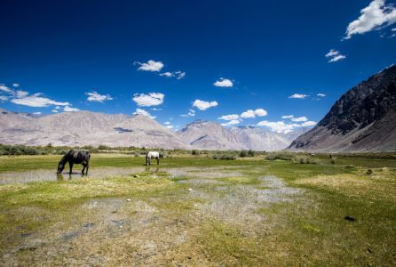Amazing Kashmir Ladakh