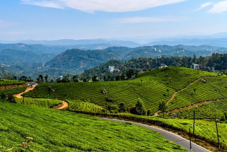 Spice Trails of South India