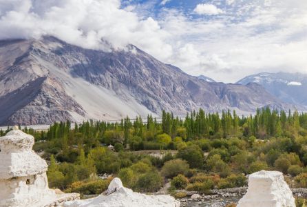 Visit Ladakh